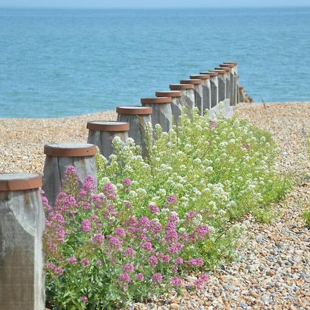 The Gem Bed & Breakfast Winchelsea Exterior photo