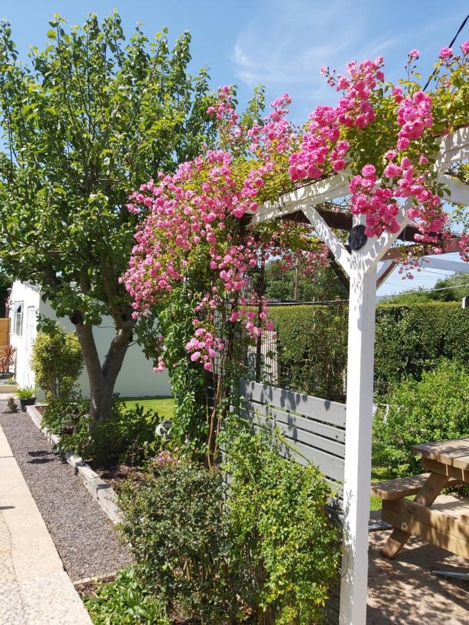 The Gem Bed & Breakfast Winchelsea Exterior photo