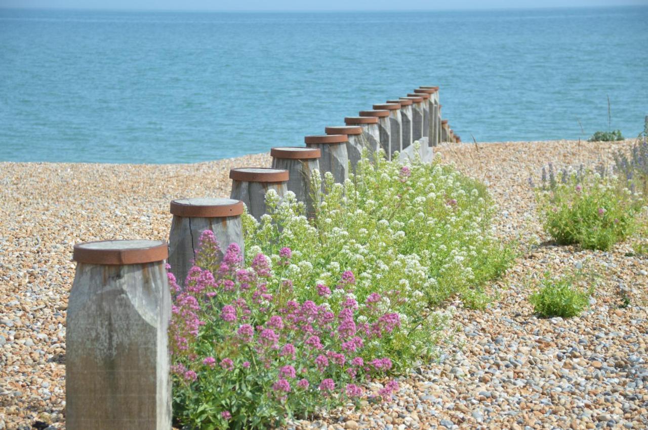 The Gem Bed & Breakfast Winchelsea Exterior photo